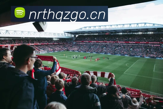 星空体育网页版入口服务体系